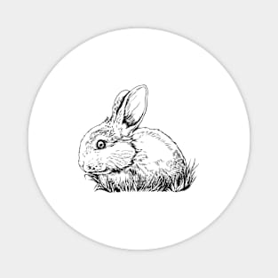 Line drawing - rabbit Magnet